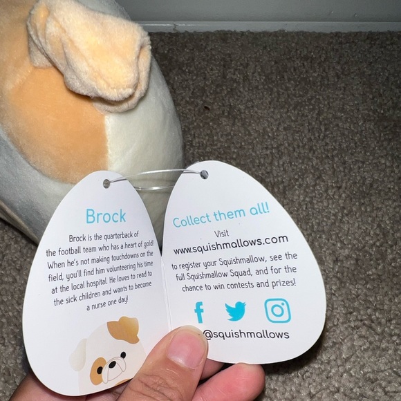 New 5” Brock the Bulldog Squishmallows - Picture 5 of 6